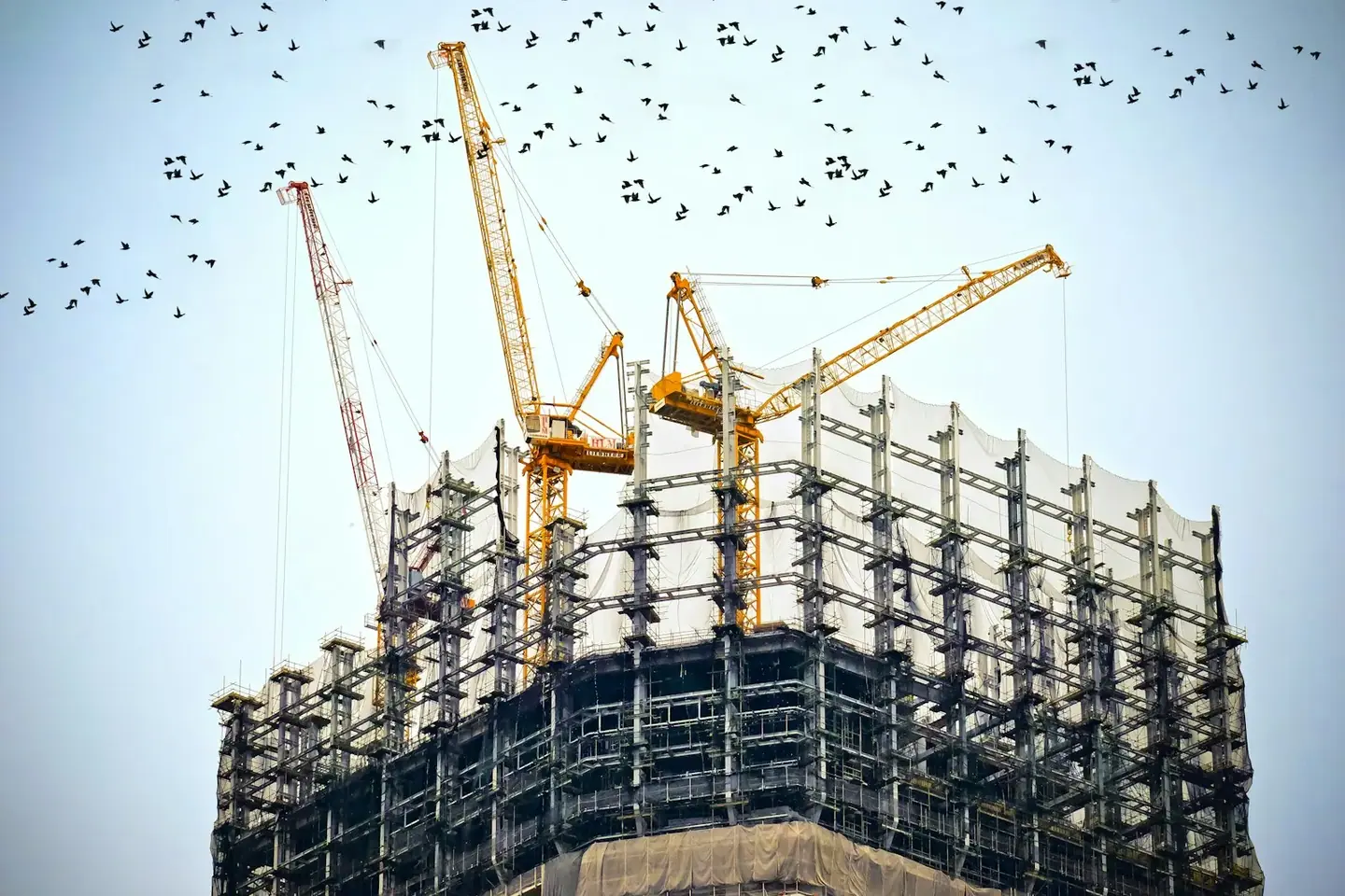 رافعات برجية فوق مبنى قيد الإنشاء